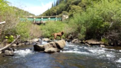 Katy on the North Fork Mokelumne River