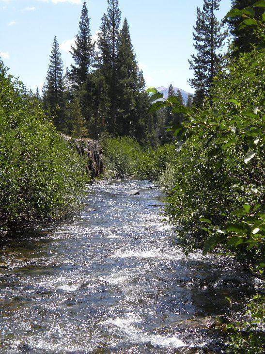 Middle Fork San Joaquin River