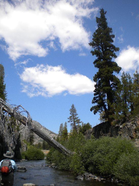 High Bluffs along Middle Fork San Joaquin River