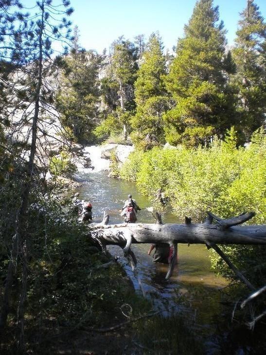 Shocking Team in Action