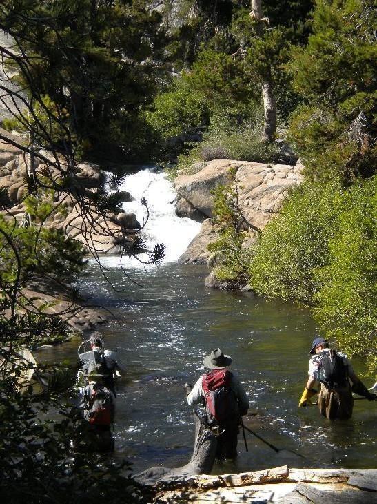 Shocking Team in Action 2