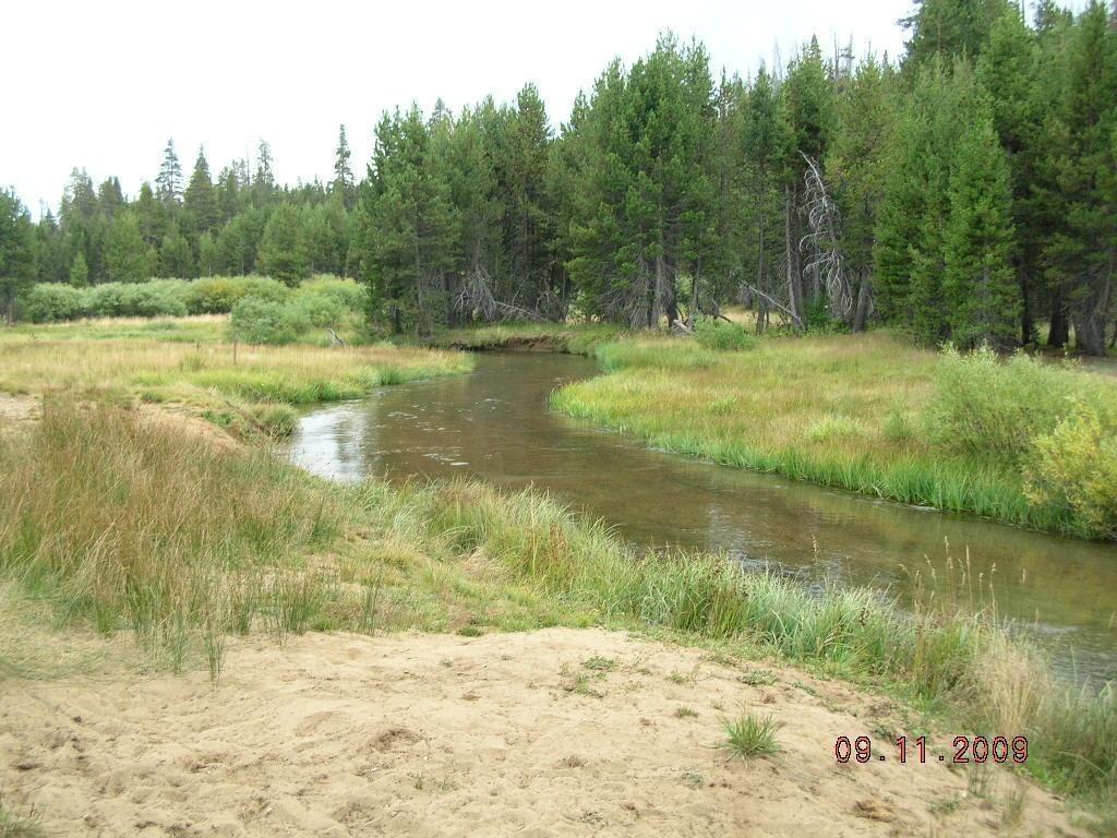 Clover Meadow