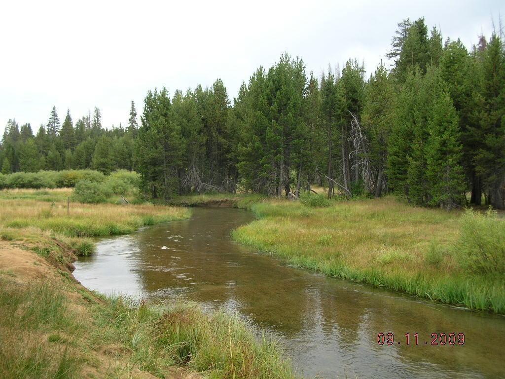 Blue Creek in Clover MNeadow