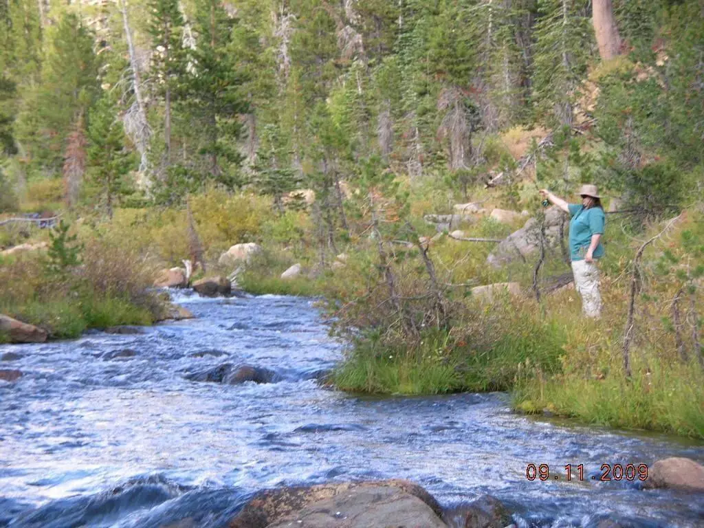 Cindy Fishing Blue Creek