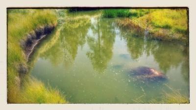 red-lake-creek-8-15-14-2-small