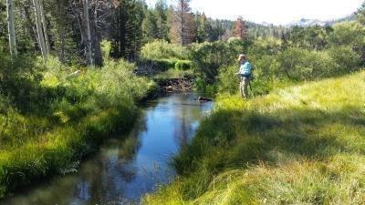 red-lake-creek-8-15-14-3-small
