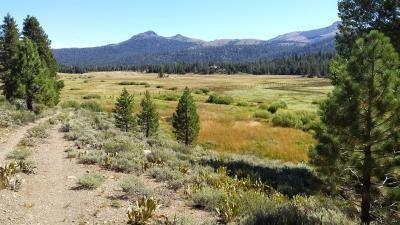 red-lake-creek-8-15-14-4-small