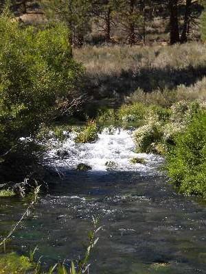 upper owens river 3